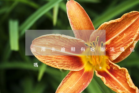 信用卡逾期有啥辦法嗎(信用卡逾期有啥辦法嗎)