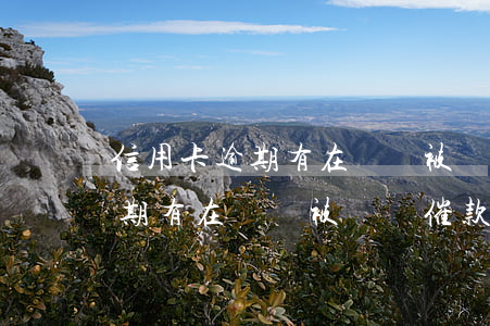 信用卡逾期有在還還被電話催款-信用卡逾期有在還還被電話催款怎么辦