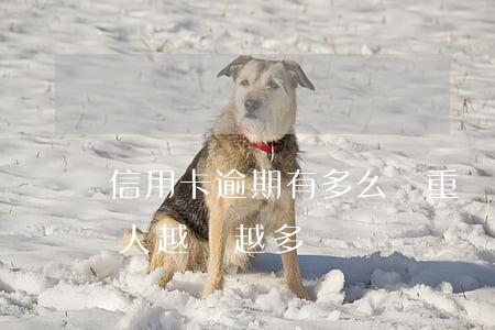 信用卡逾期有多么嚴重 為什么信用卡逾期的人越來越多