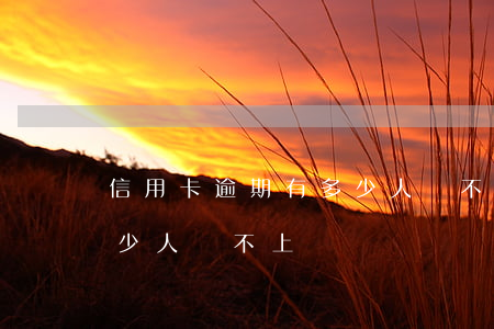 信用卡逾期有多少人還不上(信用卡逾期有多少人還不上)