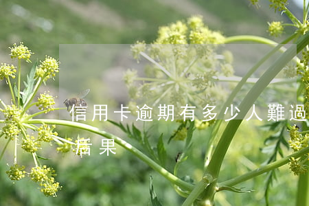 信用卡逾期有多少人難過(信用卡逾期幾千塊后果)