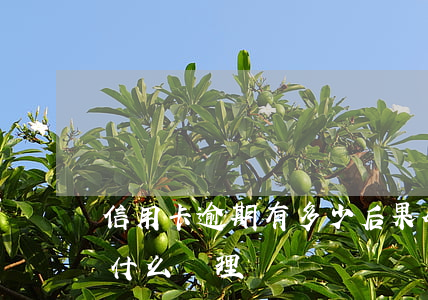 信用卡逾期有多少后果(今年的信用卡逾期有什么處理)