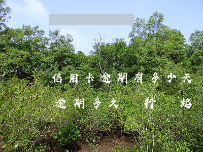 信用卡逾期有多少天會被起訴(貸款跟信用卡逾期多久,銀行會起訴)