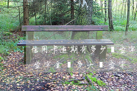 信用卡逾期有多少會坐牢(信用卡逾期多久會坐牢金額多大會坐牢)