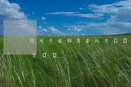 信用卡逾期有委托方讓簽(信用卡逾期有委托方讓簽)
