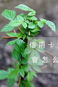 信用卡逾期有寬限期嗎(信用卡逾期時間太長會怎么樣)