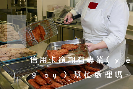 信用卡逾期有專業(yè)機(jī)構(gòu)幫忙處理嗎-信用卡逾期有專業(yè)機(jī)構(gòu)幫忙處理嗎安全嗎