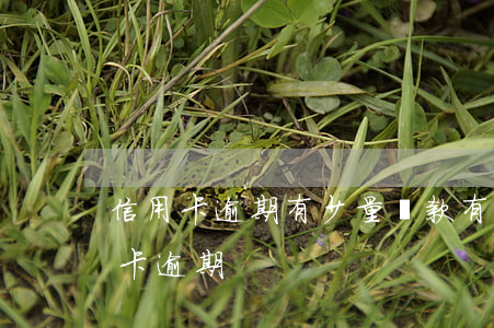 信用卡逾期有少量還款 有一個(gè)信用卡逾期
