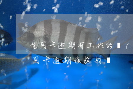 信用卡逾期有工作的會(huì)怎樣(做信用卡逾期催收好嗎)