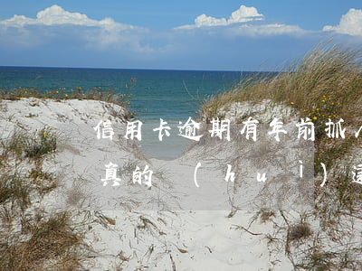 信用卡逾期有年前抓人的嗎(欠信用卡一年多真的會(huì)逮捕嗎)