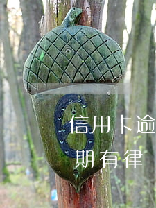 信用卡逾期有律師打電話怎么辦-信用卡逾期有律師打電話怎么辦理