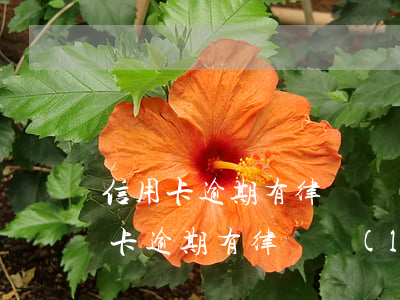信用卡逾期有律師聯(lián)系我(信用卡逾期有律師聯(lián)系我)