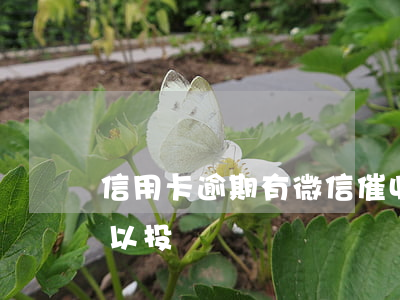 信用卡逾期有微信催收(微信里逾期的催收可以投訴嗎)