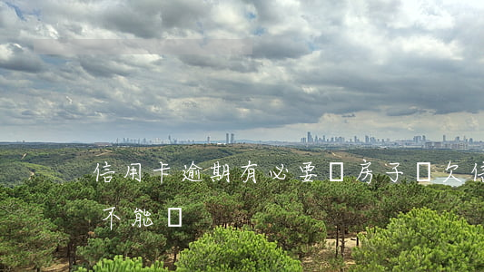 信用卡逾期有必要賣房子嗎(欠信用卡房子能不能賣)