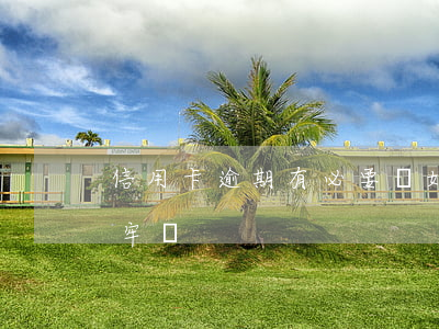 信用卡逾期有必要離婚嗎(欠信用卡逾期要坐牢嗎)