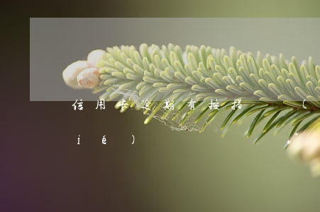 信用卡逾期有按揭車會(huì)凍結(jié)嗎