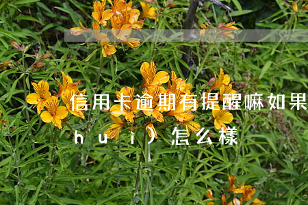 信用卡逾期有提醒嘛(如果說信用卡逾期會(huì)怎么樣)