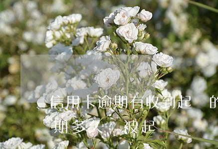 信用卡逾期有收到起訴的嗎(欠信用卡的錢逾期多久會被起訴)