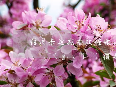 信用卡逾期有效催收規(guī)定(信用卡違規(guī)催收怎么處罰)