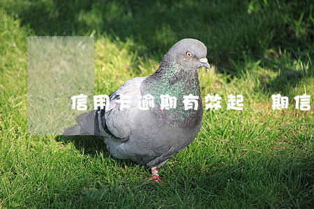 信用卡逾期有效起訴期(“信用卡逾期”)