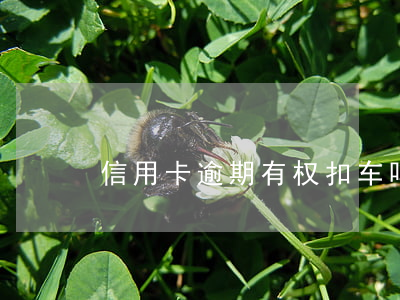 信用卡逾期有权扣车吗-逾期多久会扣车