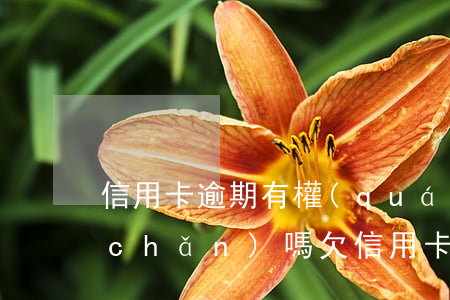 信用卡逾期有權(quán)利查封資產(chǎn)嗎(欠信用卡會不會查封財產(chǎn))