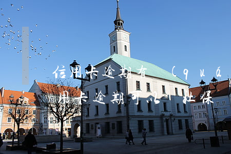 信用卡逾期有權(quán)利查社保嗎(信用卡逾期可以買社保嗎)