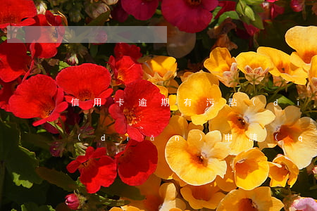 信用卡逾期有污點(diǎn)(征信有污點(diǎn)申請(qǐng)信用卡能過(guò)嗎)