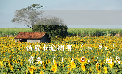信用卡逾期有沒(méi)有沒(méi)有失聯(lián)的(欠信用卡失聯(lián))
