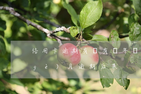 信用卡逾期有沒有兩年緩沖期(信用卡2個(gè)月逾期后果)