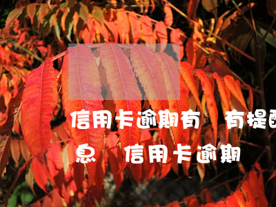 信用卡逾期有沒有提醒義務(wù)(收到信息說信用卡逾期)