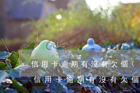 信用卡逾期有沒有欠個(gè)兩三年的-信用卡逾期有沒有欠個(gè)兩三年的人