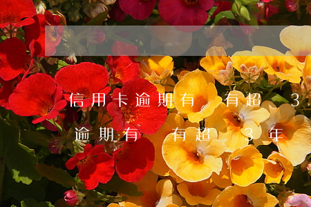 信用卡逾期有沒有超過3年沒還的-信用卡逾期有沒有超過3年沒還的情況
