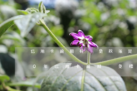 信用卡逾期有減免政策是真還是假-2020年信用卡逾期減免標準