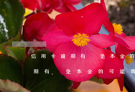 信用卡逾期有減免本金的可能嗎-信用卡逾期有減免本金的可能嗎知乎