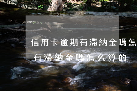信用卡逾期有滯納金嗎怎么算-信用卡逾期有滯納金嗎怎么算的