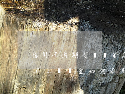信用卡逾期有滯納金怎么辦(銀行的信用卡還不上滯納金如何收取)
