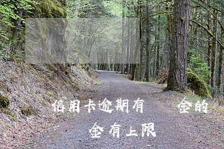 信用卡逾期有滯納金的嗎(信用卡逾期利息和滯納金有上限嗎)