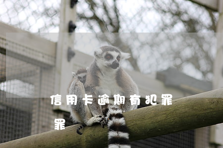 信用卡逾期有犯罪記錄嗎(信用卡逾期構成犯罪嗎)