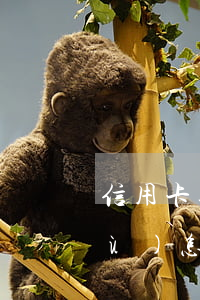 信用卡逾期有精準(zhǔn)扶貧戶(hù)怎么協(xié)商(精準(zhǔn)扶貧可以辦信用卡嗎)