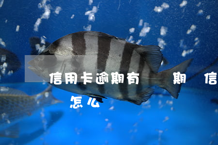 信用卡逾期有緩沖期嗎(信用卡逾期有緩沖期嗎怎么辦)