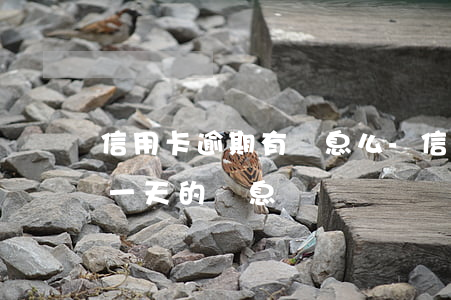 信用卡逾期有罰息么-信用卡8000逾期一天的罰息