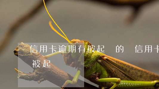 信用卡逾期有被起訴的嗎(信用卡逾期真的會被起訴嗎)