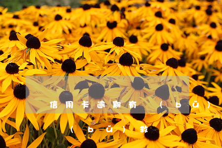 信用卡逾期有補(bǔ)救嗎(信用卡逾期有補(bǔ)救嗎)