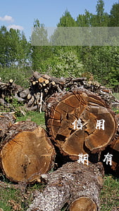 信用卡逾期有補(bǔ)救辦法嗎(信用卡逾期有什么辦法可以解決)