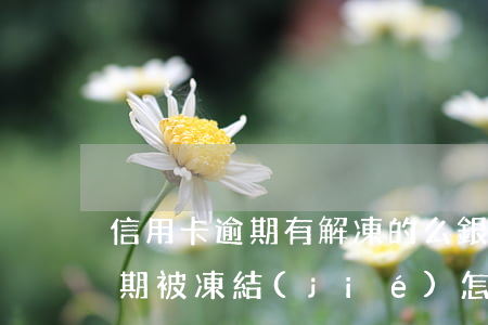 信用卡逾期有解凍的么(銀行卡因為信用卡逾期被凍結(jié)怎么辦)