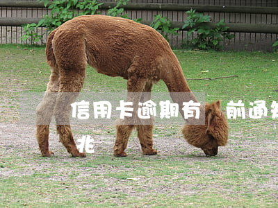 信用卡逾期有訴前通知嗎(信用卡逾期起訴前兆)