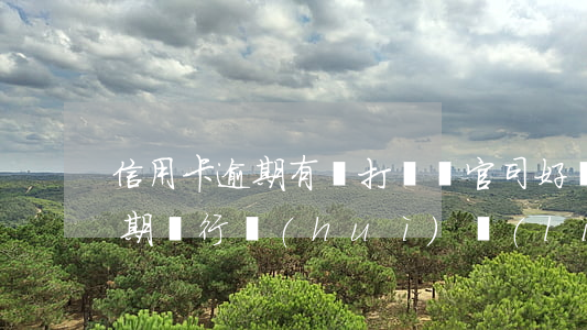信用卡逾期有誰打贏過官司(好幾家信用卡逾期銀行會(huì)聯(lián)合起訴嗎)