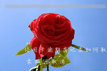 信用卡逾期有记录如何取消（信用卡逾期有记录如何取消）