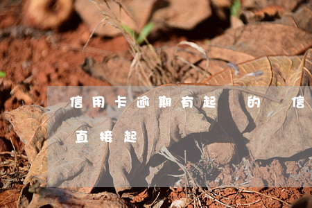 信用卡逾期有起訴的沒(信用卡逾期為什么不直接起訴)